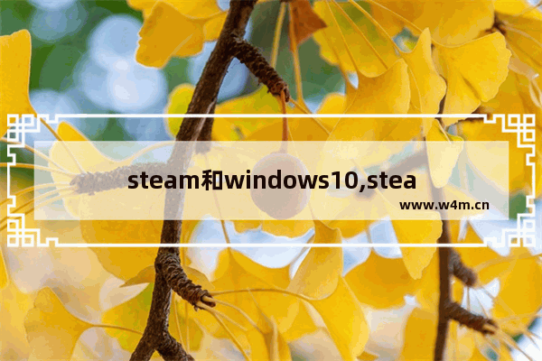 steam和windows10,steam游戏适用于windows