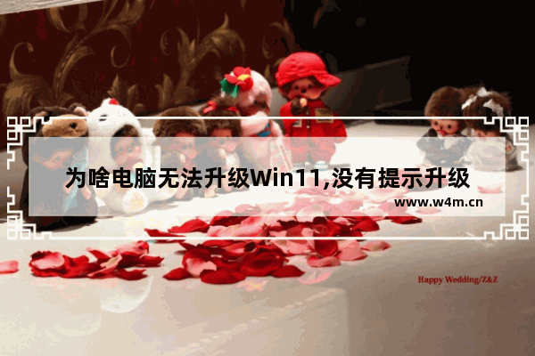 为啥电脑无法升级Win11,没有提示升级win11