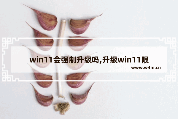 win11会强制升级吗,升级win11限制万能解决方案