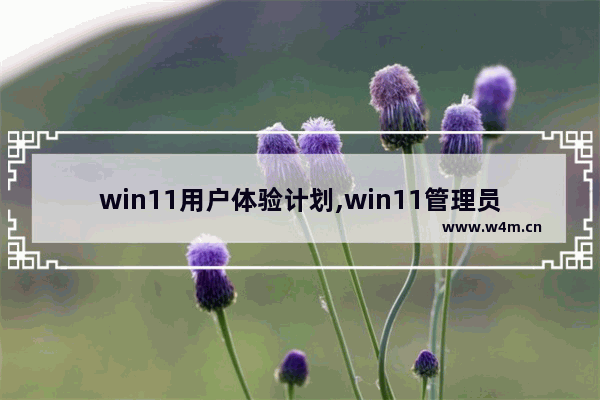 win11用户体验计划,win11管理员模式