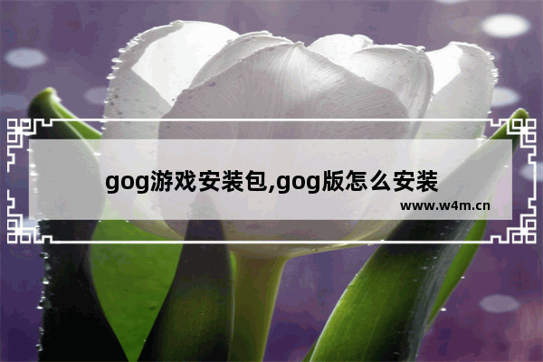 gog游戏安装包,gog版怎么安装