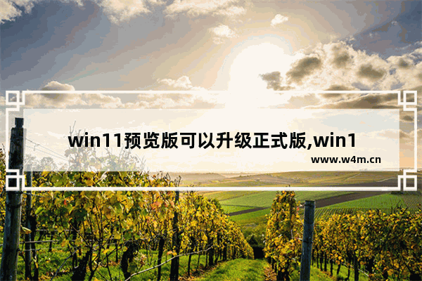 win11预览版可以升级正式版,win10预览版升级win11