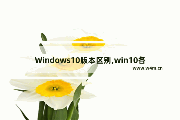 Windows10版本区别,win10各种版本有什么区别