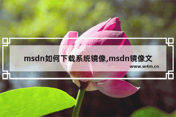 msdn如何下载系统镜像,msdn镜像文件如何安装