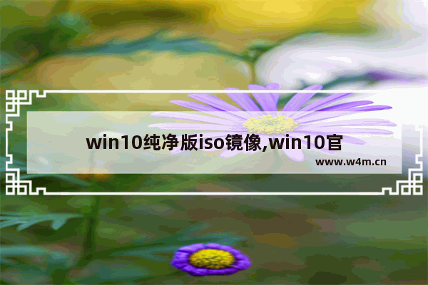 win10纯净版iso镜像,win10官方原版iso镜像 下载地址