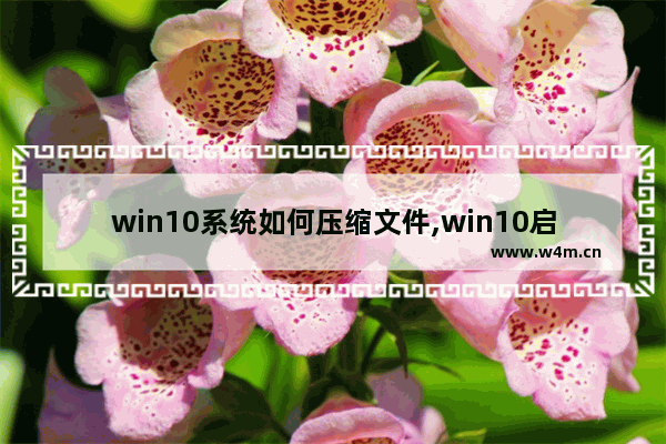 win10系统如何压缩文件,win10启用文件和文件压缩