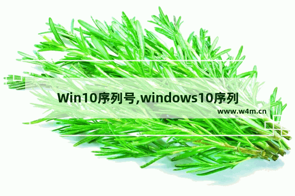 Win10序列号,windows10序列号和密钥