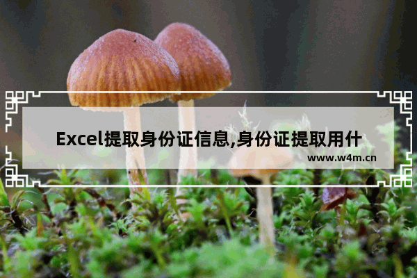 Excel提取身份证信息,身份证提取用什么函数