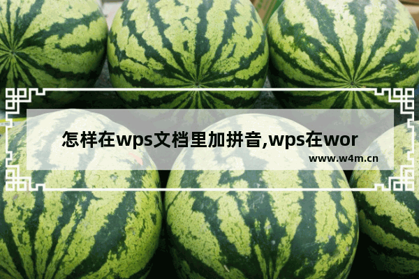 怎样在wps文档里加拼音,wps在word文档如何给拼音注音