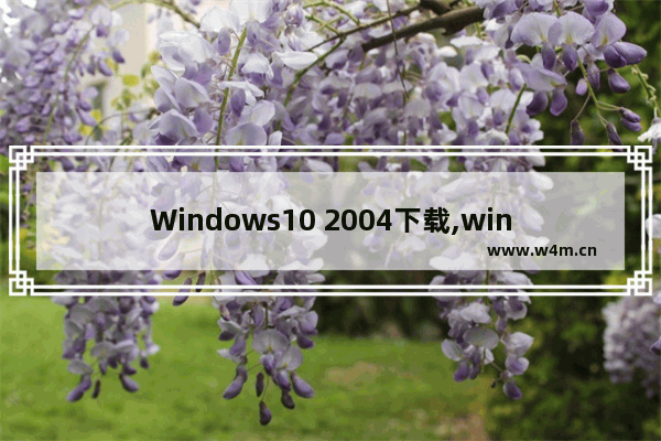 Windows10 2004下载,win10 2004正式版下载