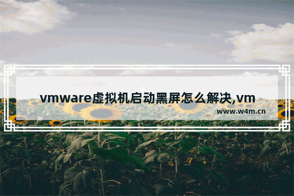 vmware虚拟机启动黑屏怎么解决,vmware 开机黑屏