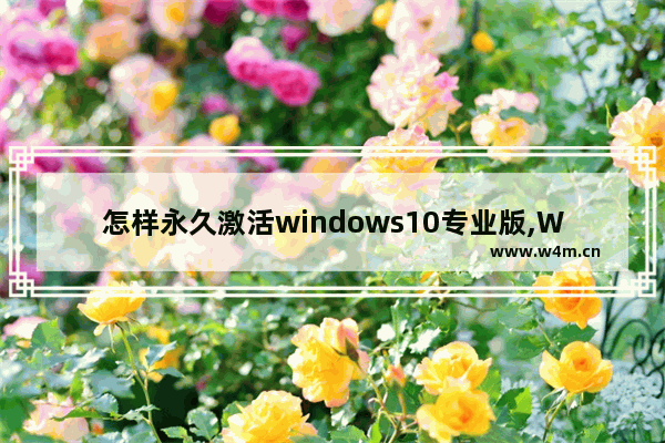 怎样永久激活windows10专业版,Win10系统永久激活