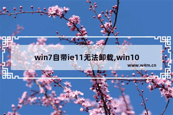 win7自带ie11无法卸载,win10无法卸载ie11浏览器