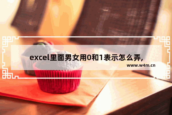 excel里面男女用0和1表示怎么弄,