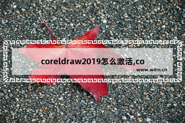 coreldraw2019怎么激活,coreldraw2018激活