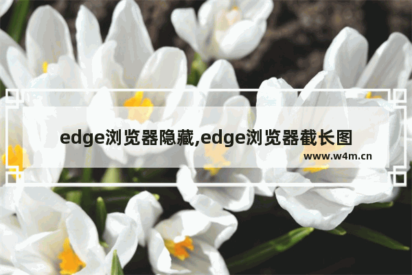 edge浏览器隐藏,edge浏览器截长图