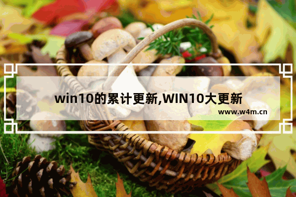 win10的累计更新,WIN10大更新