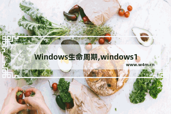 Windows生命周期,windows10更新周期