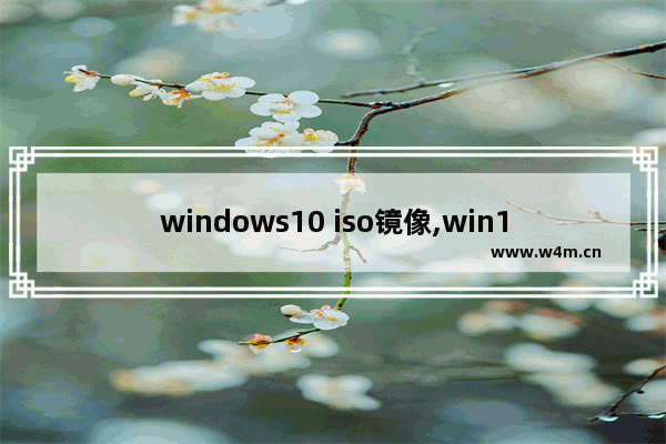 windows10 iso镜像,win10 iso镜像文件