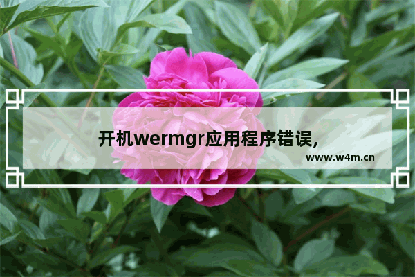 开机wermgr应用程序错误,