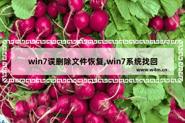 win7误删除文件恢复,win7系统找回误删文件