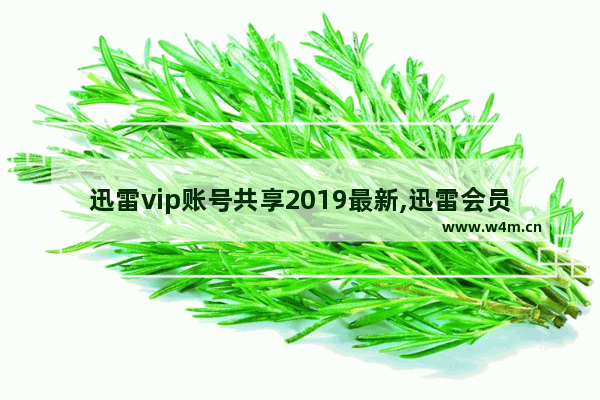 迅雷vip账号共享2019最新,迅雷会员专享版