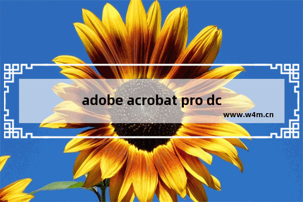 adobe acrobat pro dc2018安装教程,Adobe Acrobat Pro DC2020