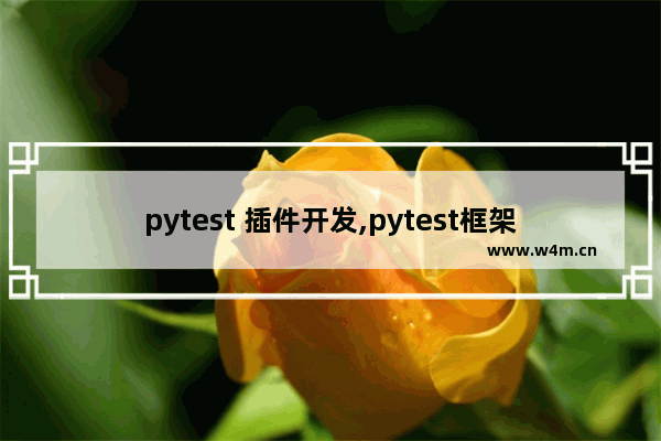 pytest 插件开发,pytest框架实战原理