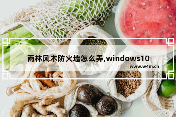 雨林风木防火墙怎么弄,windows10防火墙端口设置