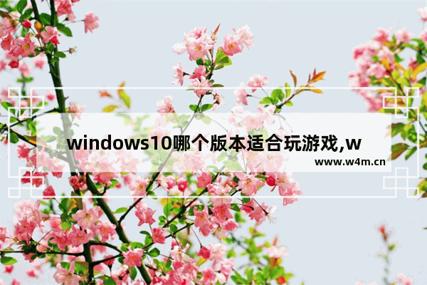 windows10哪个版本适合玩游戏,win10系统玩游戏用哪个版本好