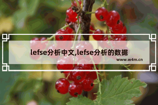 lefse分析中文,lefse分析的数据格式