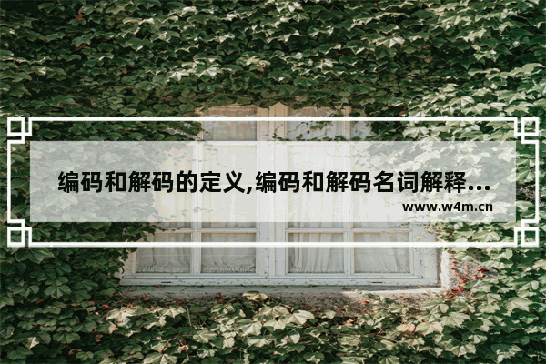 编码和解码的定义,编码和解码名词解释一样吗,编码与解码名词解释