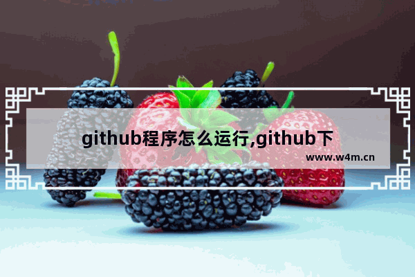 github程序怎么运行,github下载的项目怎么运行