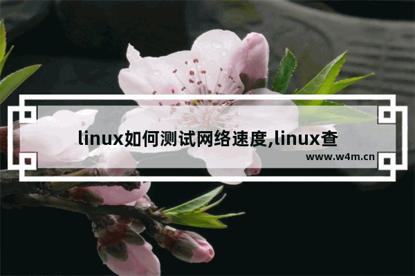 linux如何测试网络速度,linux查看网络是否通畅的命令