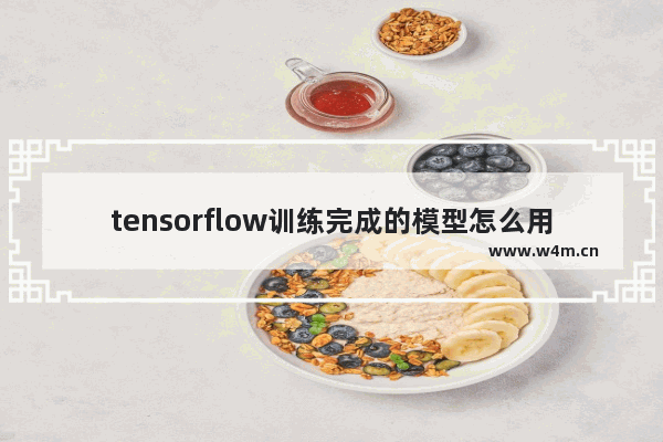 tensorflow训练完成的模型怎么用,TensorFlow保存模型