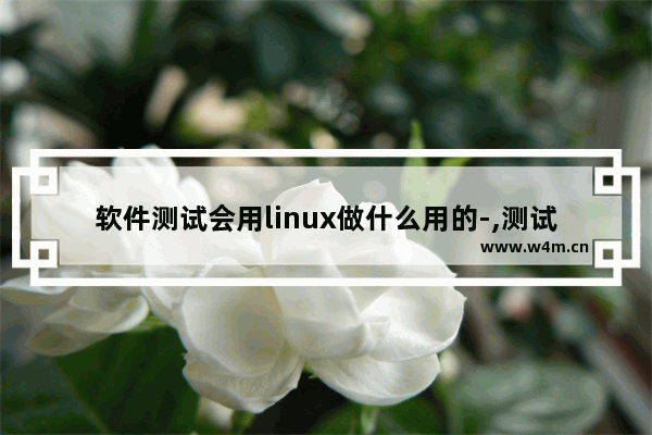 软件测试会用linux做什么用的-,测试使用linux做什么工作