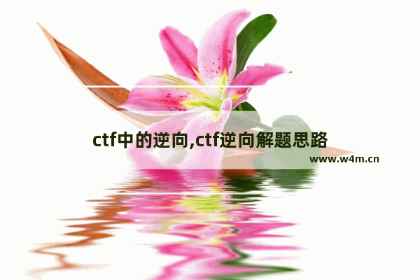 ctf中的逆向,ctf逆向解题思路