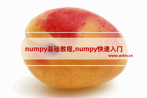 numpy基础教程,numpy快速入门