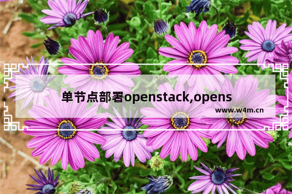 单节点部署openstack,openstack 容器