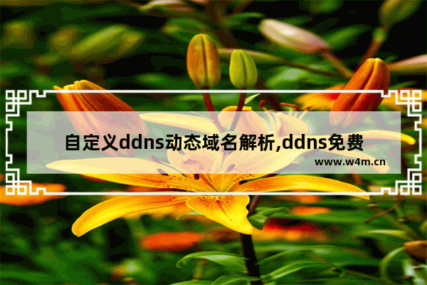 自定义ddns动态域名解析,ddns免费版动态解析域名