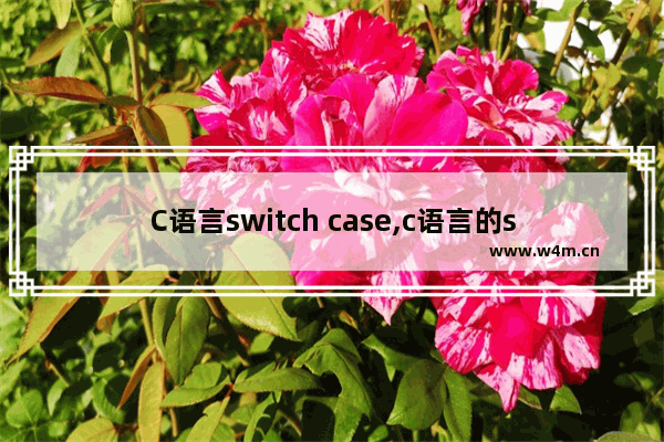 C语言switch case,c语言的switch语句中case后可以有什么