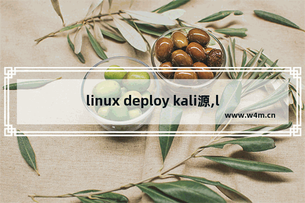 linux deploy kali源,linuxdeploy安装kali