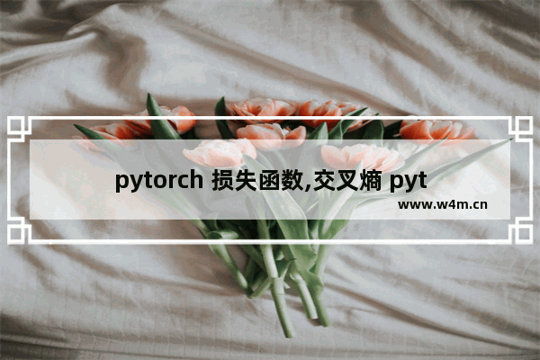 pytorch 损失函数,交叉熵 pytorch