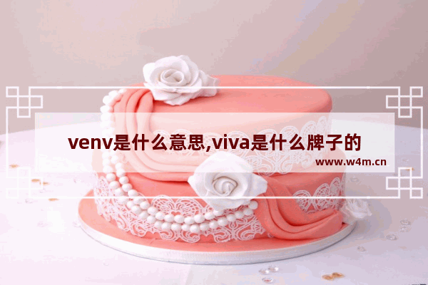 venv是什么意思,viva是什么牌子的自行车