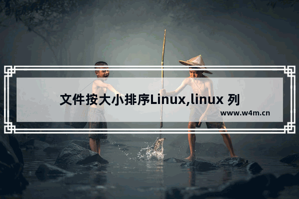 文件按大小排序Linux,linux 列出文件大小