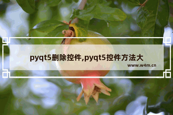 pyqt5删除控件,pyqt5控件方法大全