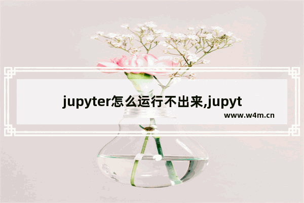 jupyter怎么运行不出来,jupyter打不开py文件