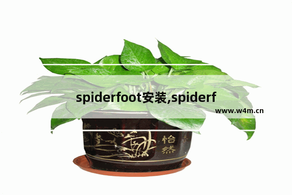 spiderfoot安装,spiderfoot会被对手反扫描