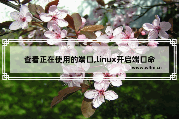 查看正在使用的端口,linux开启端口命令是什么,查看正在使用的端口,linux开启端口命令代码