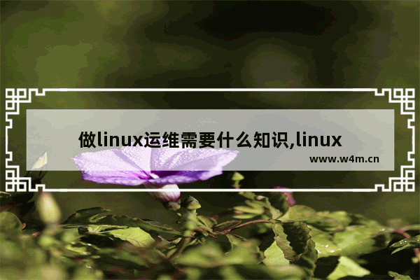 做linux运维需要什么知识,linux运维工程师主要工作内容做什么